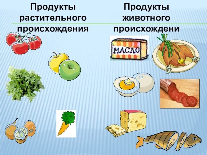 Витамины в продуктах растительного происхождения. Полезные продукты растительного происхождения. Продукты животного происхождения. Продукты растительного и животного происхождения. Какие продукты животного происхождения.