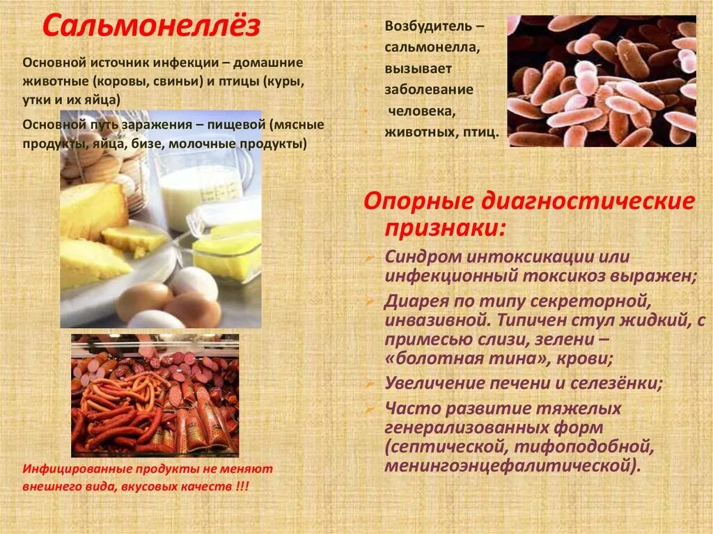 Сальмонеллез. Сальмонеллы в пищевых продуктах. Сальмонелла в продуктах питания. Диета при сальмонеллезе