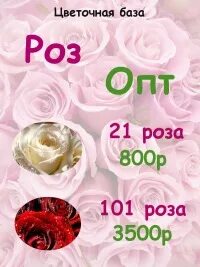 Опт от скольки штук