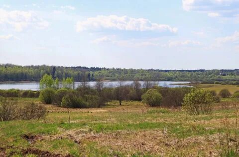 Золотое новгородская область