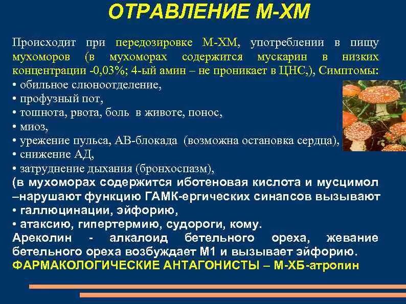Отравление мышами симптомы. Механизм отравления мускарином. проявления отравления мухоморами. при отравлении мухомором. симптомы острого отравления мускарином.