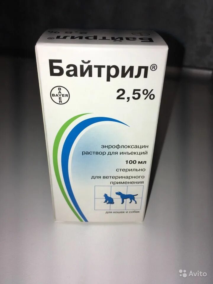 Байтрил 10 применение. Байтрил 2.5 для кошек. Байтрил 2.5 для крыс. Байтрил 5% дозировка для кошек. Байтрил 5 для кошек.