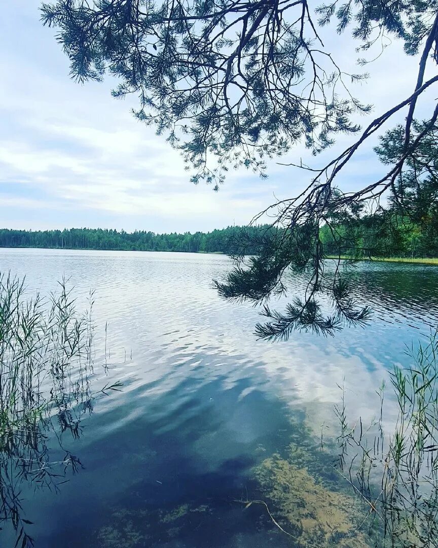 Все таки на озеро. Чуркан Марий Эл. Кумьяры озеро Марий. Озеро Чуркан. Чуркан озеро Марий Эл дорога.