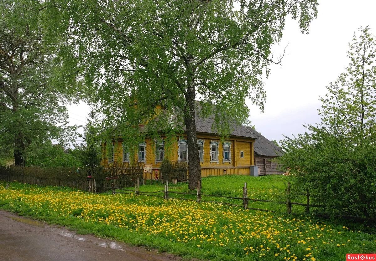 Дом деревне купить ярославское. Деревня Мартино Мышкинский район. Мартыново Мышкинский район. Деревня Мартыново Мышкинского района Ярославской области. Деревня Мартыново. Ярославская обл. Мышкинский район.