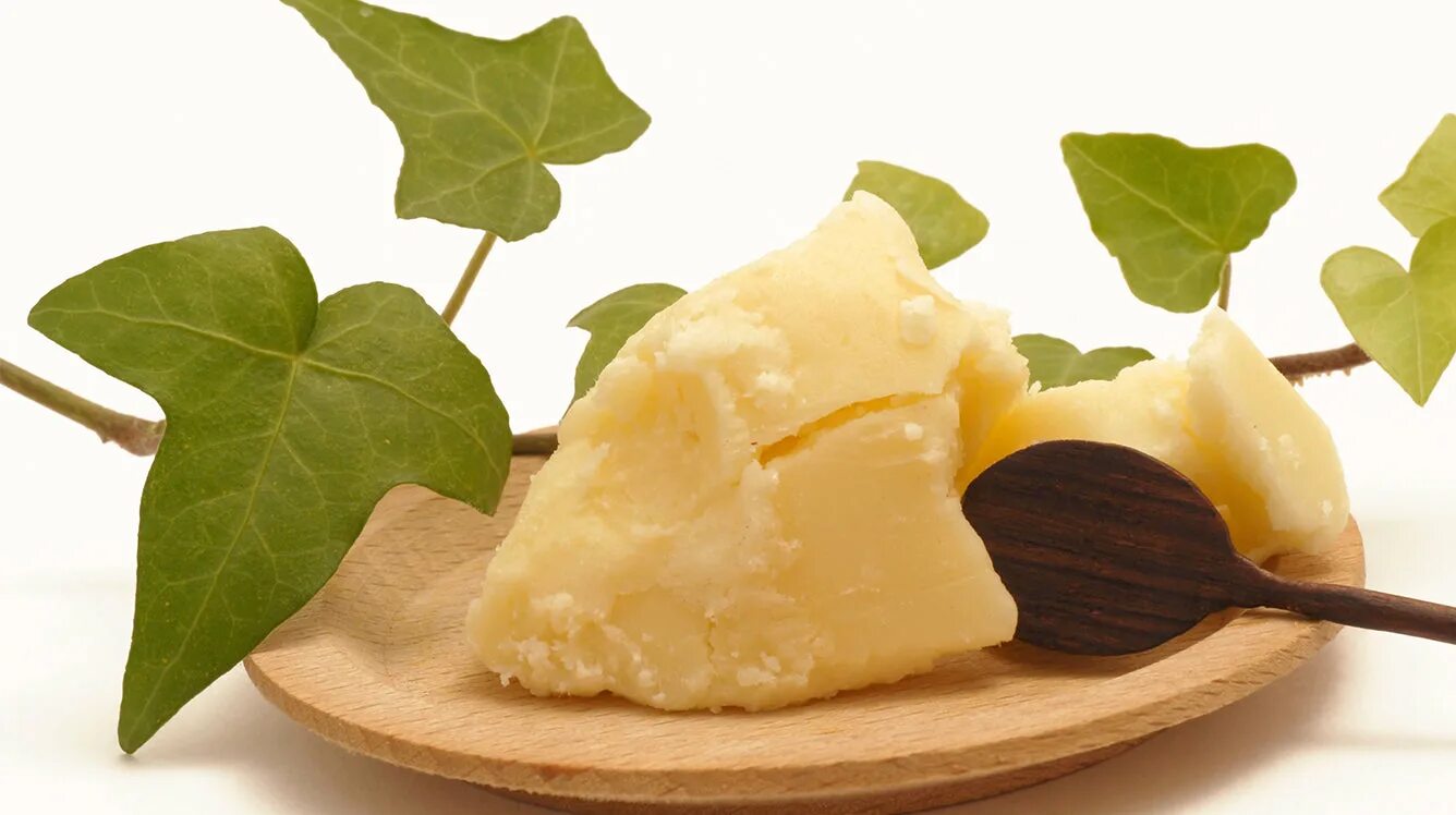 She butter. Масло ши дерево карите. Масло какао (баттер). Масло ши (shea butter). She butter.