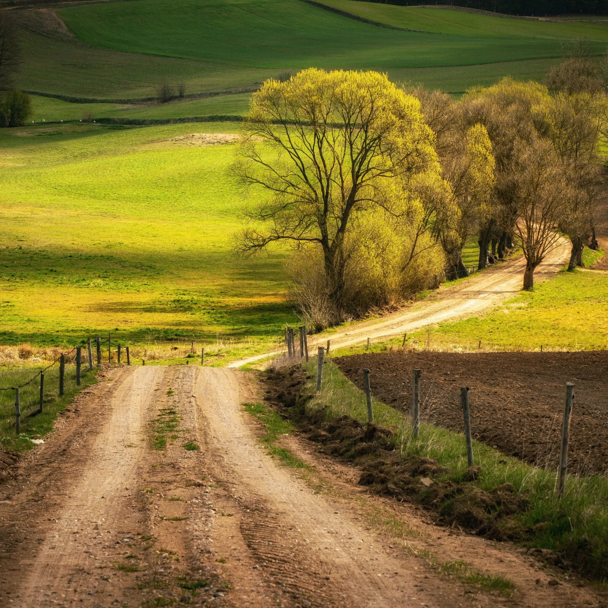Уходящий пейзаж. Пейзаж с дорогой. природа дорога. деревенская дорога. пейзажи природы дорога.