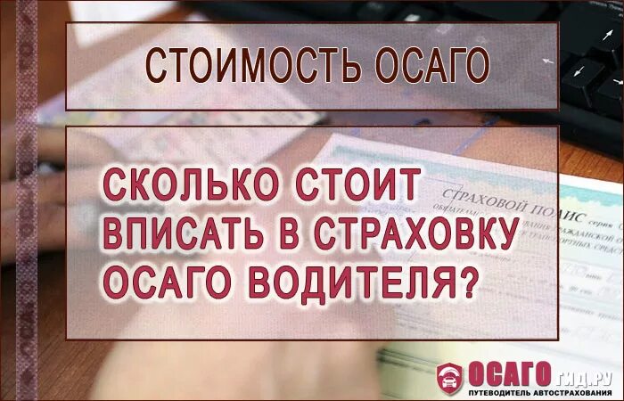 Вписать в страховку осаго водителя цена