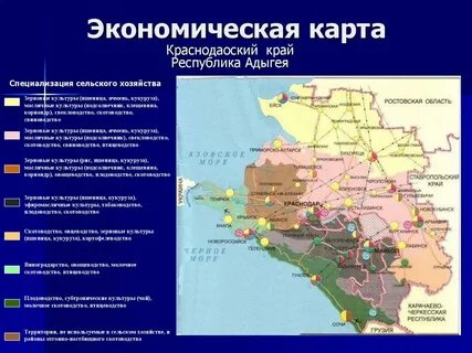 Сайт рмц краснодарский край