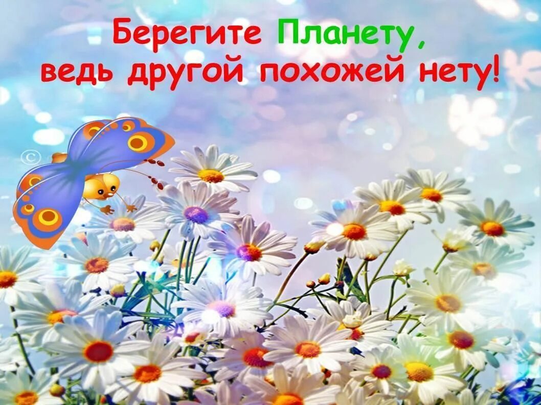 Берегите свою планету. Плакат бережем планету вместе. Проект береги планету. Книжка береги планету. Береги планету мероприятие.