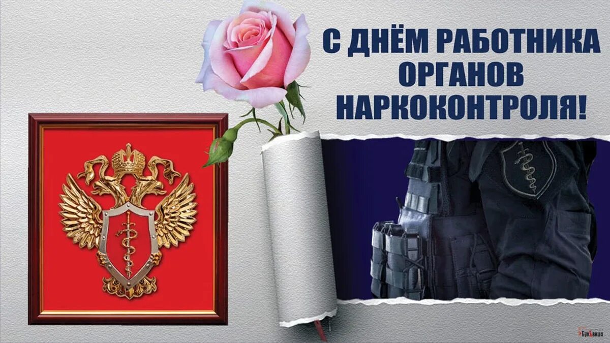 День работников наркоконтроля России. День сотрудника органов наркоконтроля. С праздником наркоконтроля.