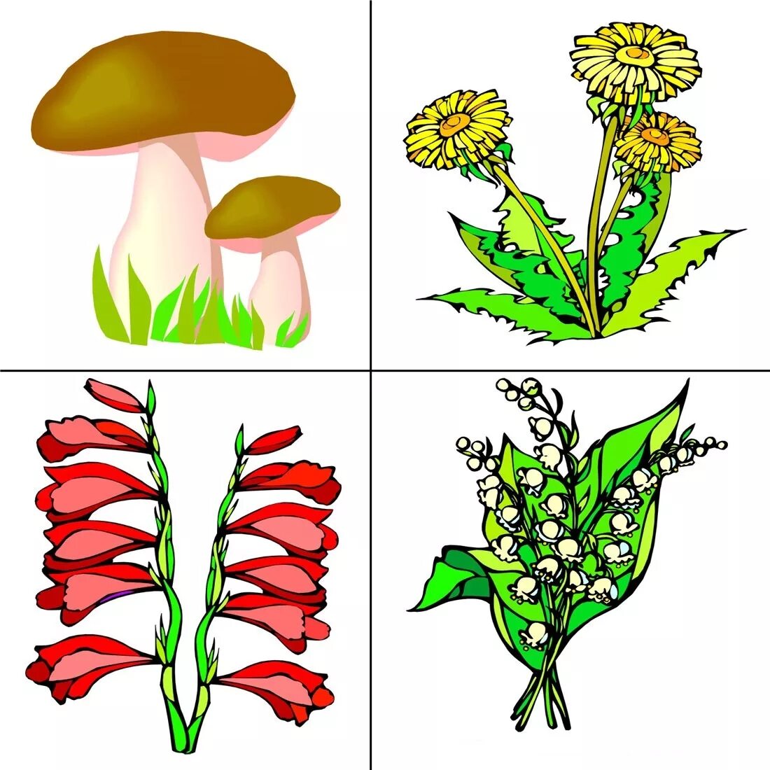 Тема цветы 4 года. Растения для дошкольников. Карточки с растениями. Растения карточки для детей. Четвертый лишний растения для дошкольников.