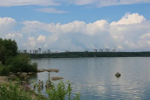 Шарташ бобровка