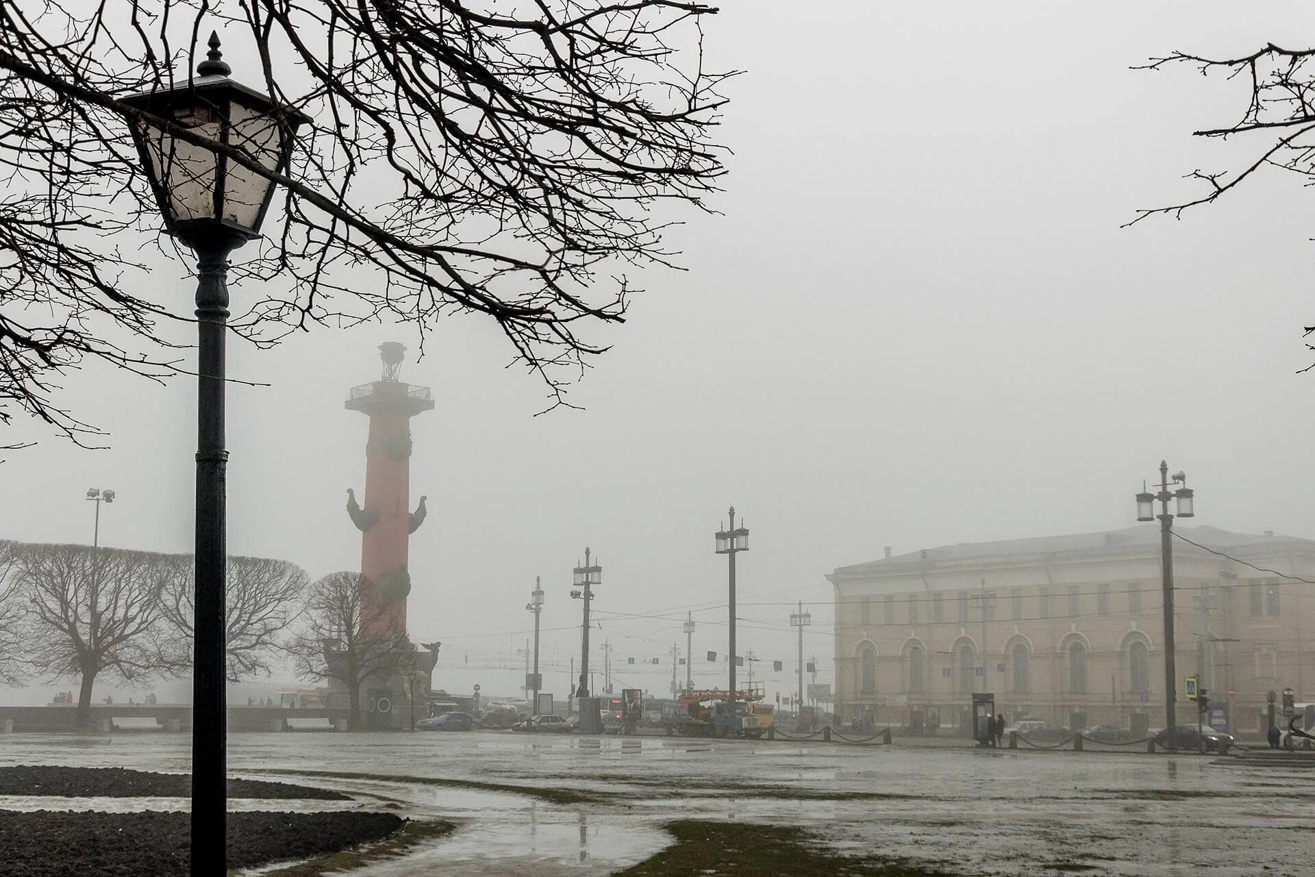 Санкт-Петербург туман. Стрелка Васильевского острова Санкт-Петербург дождь. Стрелка Васильевского острова туман. Питер Васильевский остров туман. Пасмурный питер