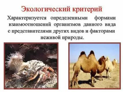Какие документы определяют взаимоотношения
