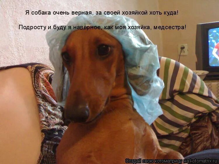 гала борзова свадьба. фотосессия на дороге. стильная одежда для девушек. стильная девушка выглядеть дорого. модные вещи.