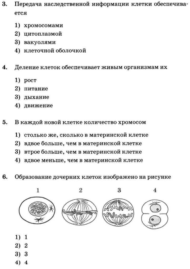 Контрольная по биологии 5 класс 15 параграф. Пасечник биология пятый класс тест. Жизнедеятельность клетки 5 класс биология деление клетки. Тесты по биологии 5-9 класс с ответами Пасечник. Контрольная работа по биологии 5 класс клетка.