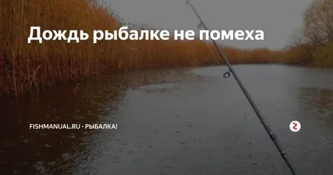 Три дня дождя рыбалка