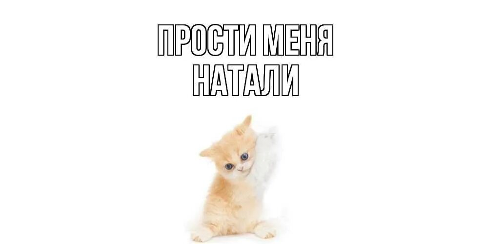 Про прости. Прости меня. прости меня аня картинки. настя прости меня. настя прости меня картинки.