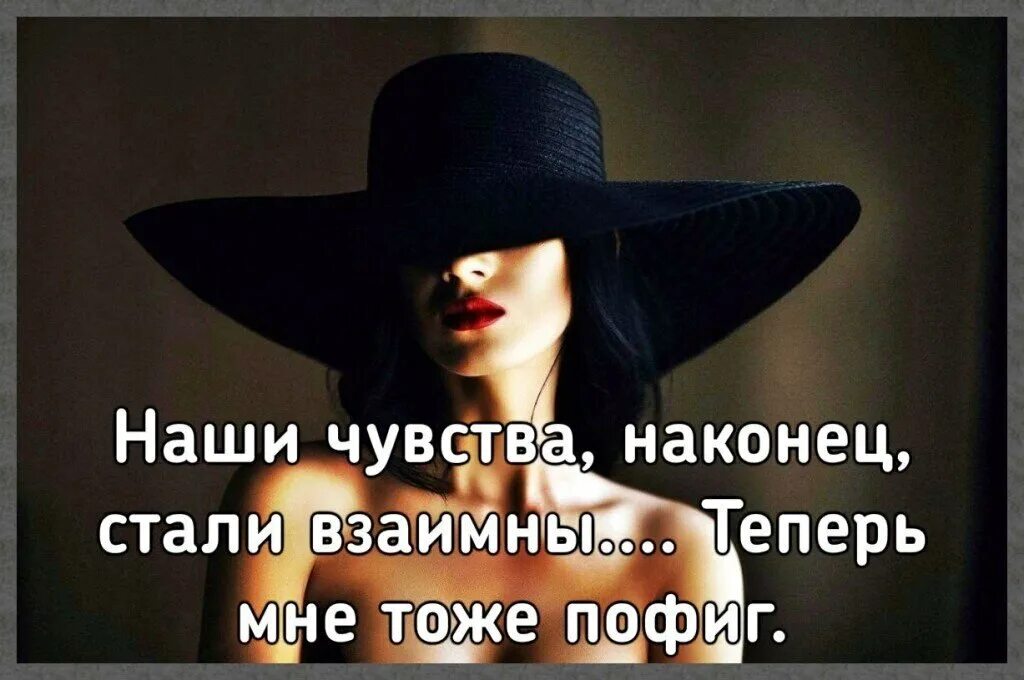 Ночью все кошки серые. Песня просто мне все пофиг. Песня просто мне все пофиг. Юлия паршута инь ян пофиг. Песня просто мне все пофиг.