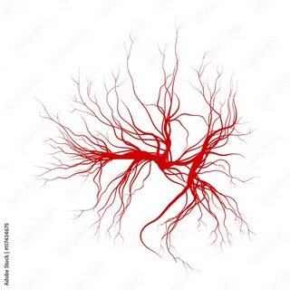 Devils veins