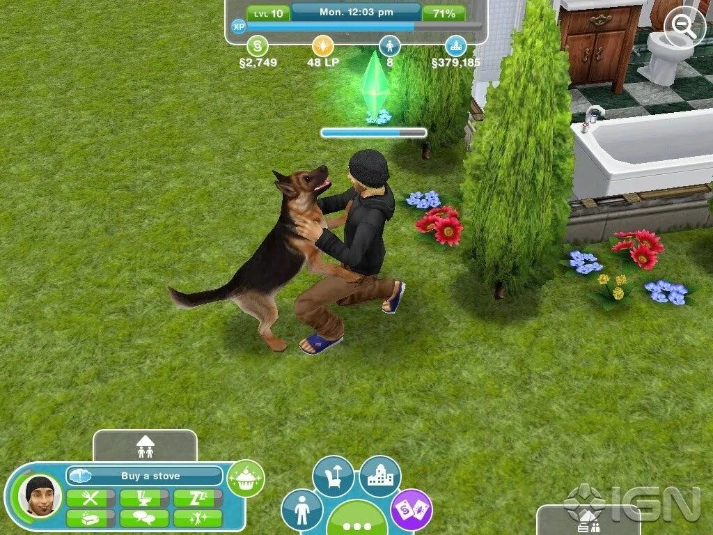 магазин для питомцев симс фриплей. симс фриплей собаки. древо питомцев симс. симс фриплей собаки. играть с собакой в фрисби sims freeplay.