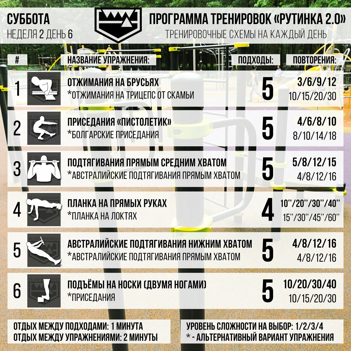 Программа тренировок 2 недели. Программа тренировок рутинка. австралийские подтягивания план тренировок. программа тренировок рутинка 2.0. австралийские подтягивания программа.