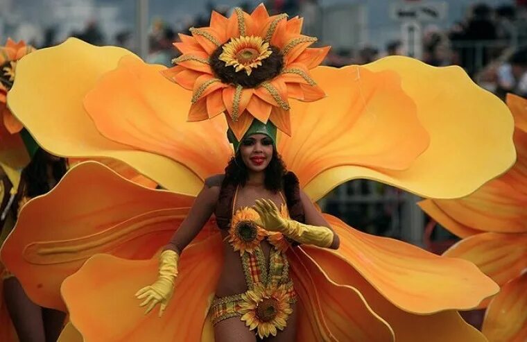 Цветы карнавальные. Бразильские цветы. Цветочный карнавал. Бразильский карнавал цветы. Карнавал в Ницце.