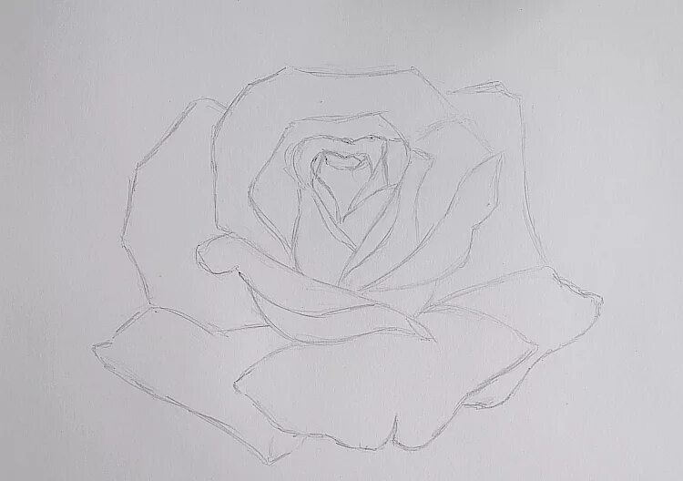 Зарисовки карандашом цветы. Рисунки на весь лист легкие. Рисунок на свободную тему легкий. Как нарисовать на листе а 4. Рисунок легкий.