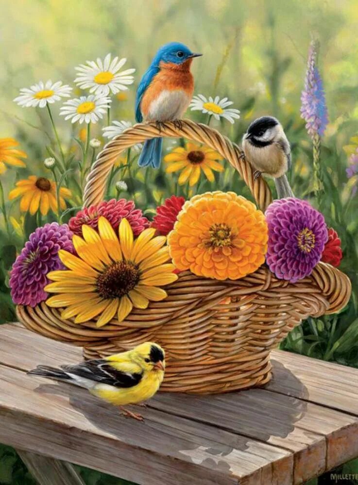 Добрый день птички. Розмари Миллетт Rosemary Millette. Доброе летнее утро птицы. Летние открытки. Доброго дня с птицами.