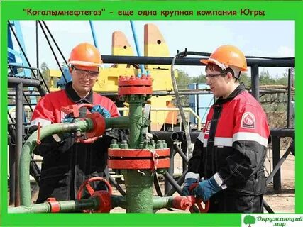 Оператор хмао