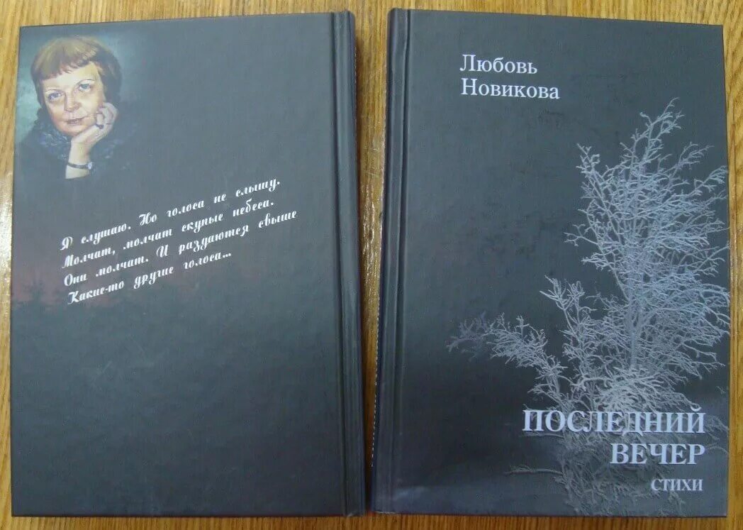 Вечера поэтов. Стихи Новикова. Стихи Новиков. Стихи Владимира Новикова. Последний вечер книга.