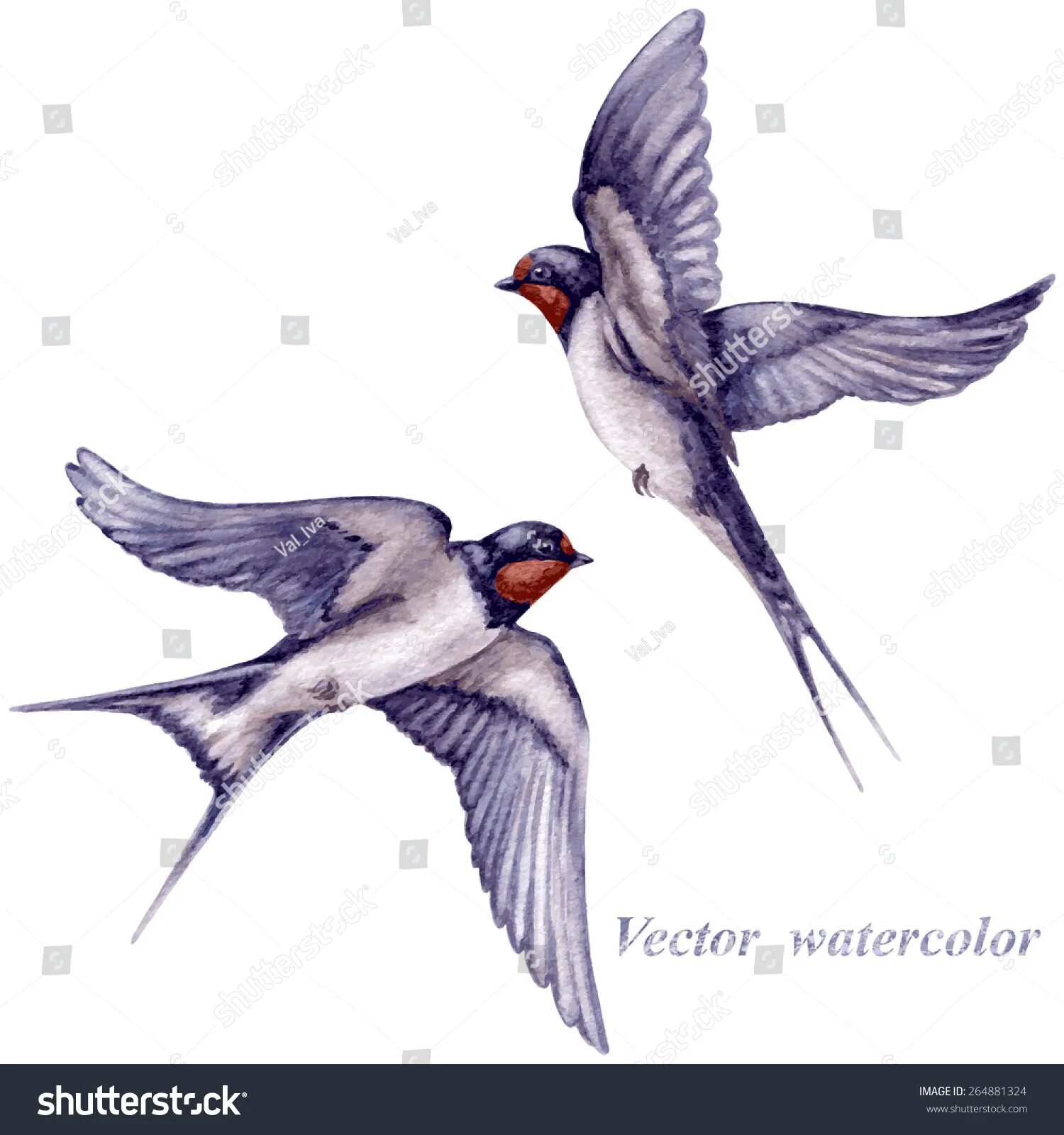 Две ласточки эскиз. Две ласточки летят навстречу. Ласточки летают. Две ласточки летят навстречу. Ласточка птица.