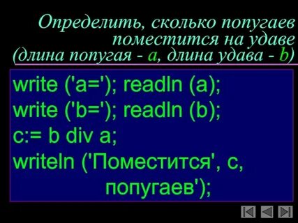 Сколько попугаев в удаве