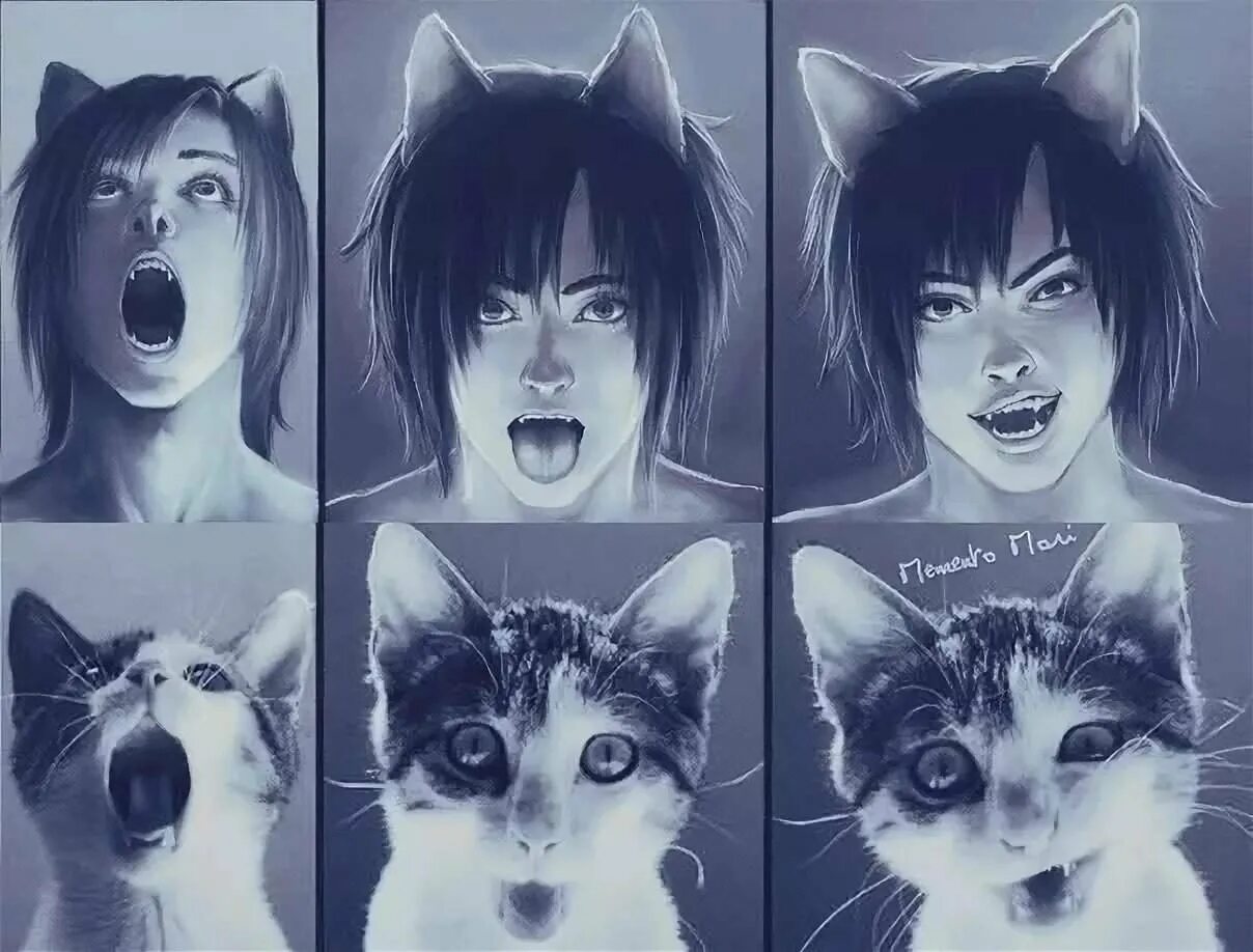 Аниме комикс greenteaneko кошка. Кот превратился в парня. Икуто тсукиеми. Мяу таинственный парень дорама 2020. Икуто цукиёми.