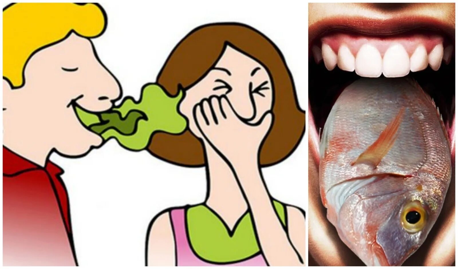 Изо рта воняет тухлятиной. Экстраоральный галитоз. Запах изо рта паразиты.