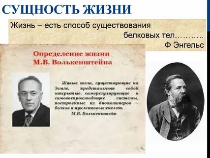 Наиболее полное определение жизни дал