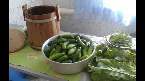 Перед засолкой огурцов