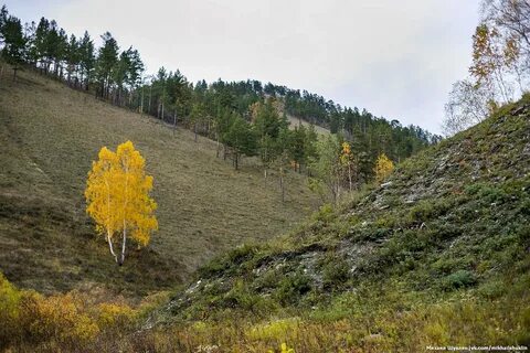 Погода в манском на 14 дней