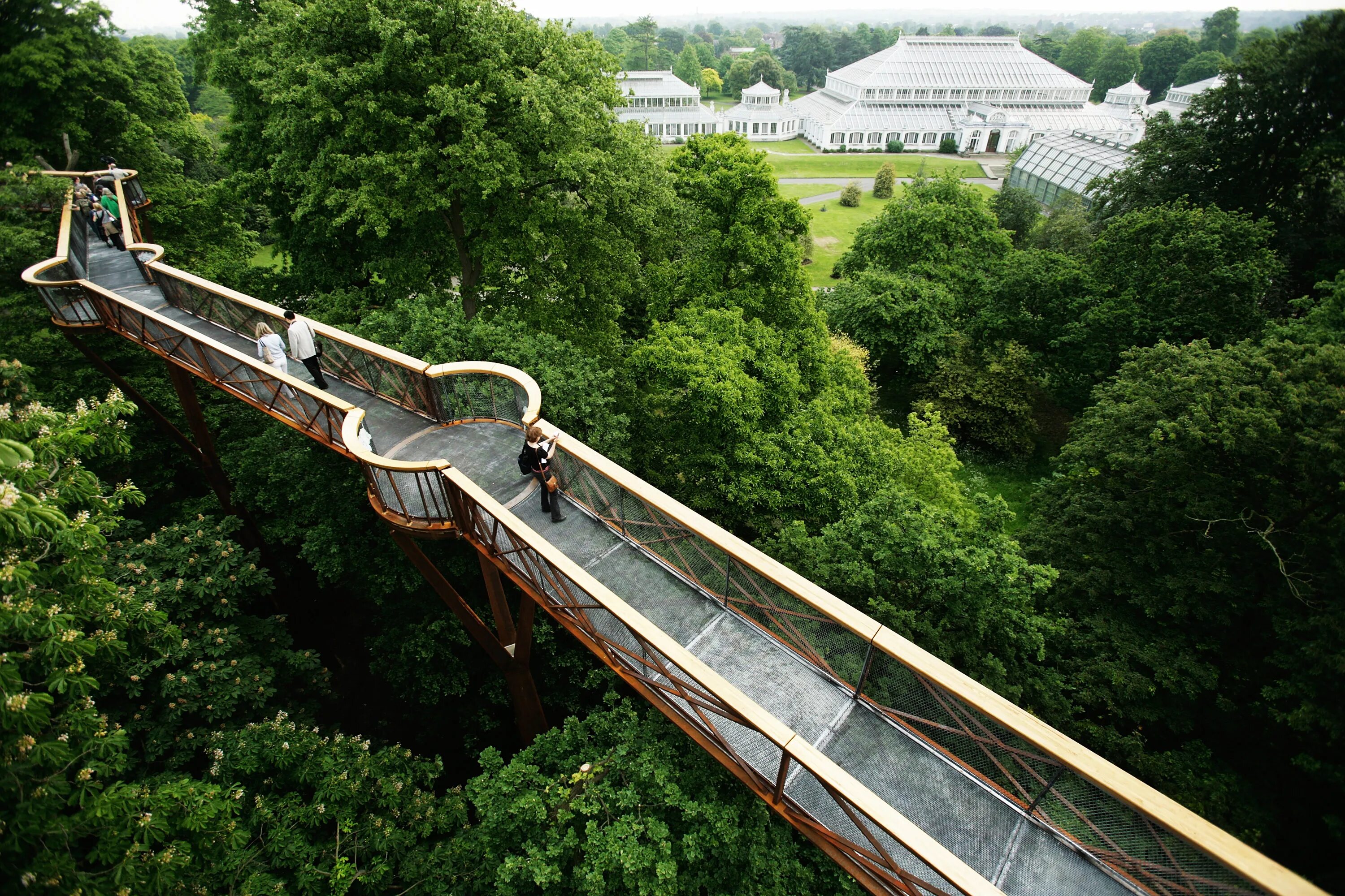 Над верхушками деревьев. Королевские ботанические сады кью. kew gardens в лондоне. сады кью treetop walkway. аллея над верхушками деревьев сад кью.