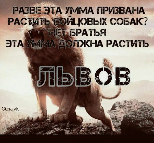 Храбрость не продлит мне жизнь а трусость. Трусость не продлит жизнь. Клянусь Аллахом трусость не продлит мне жизнь. Трусость не продлит мне жизнь а храбрость не уменьшит. Клянусь Аллахом трусость не продлит жизнь а храбрость уменьшит.