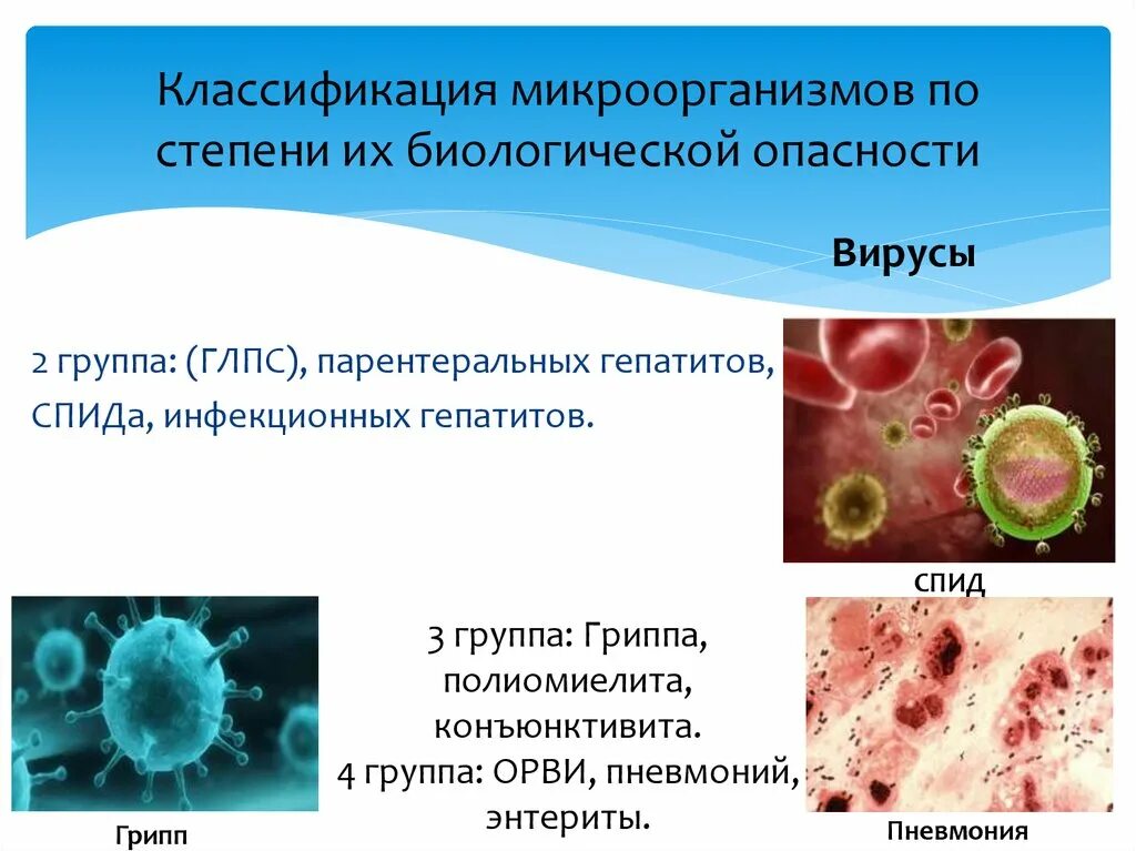 Лабораторная работа по биологии спид и гепатит. Классификация микробов по степени их опасности. Классификация микроорганизмов по степени их биологической опасности. Классификация микроорганизмов по биологическим группам. Микроорганизмы по группам опасности.