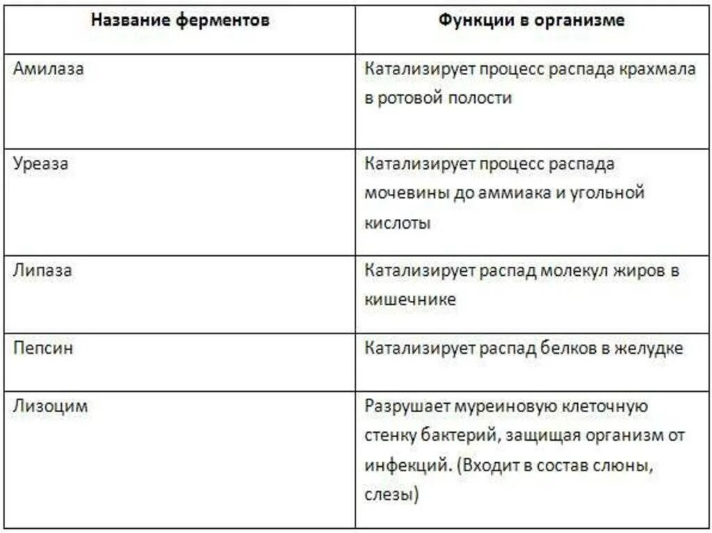 Заполните таблицу информация о веществе