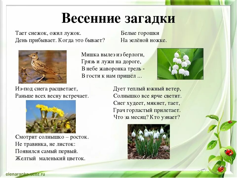 Загадки про весну для детей 4 лет. Весенние загадки. Загадки про весну. Загадки на весеннюю тему.