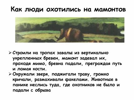 Охота место где окружается зверь