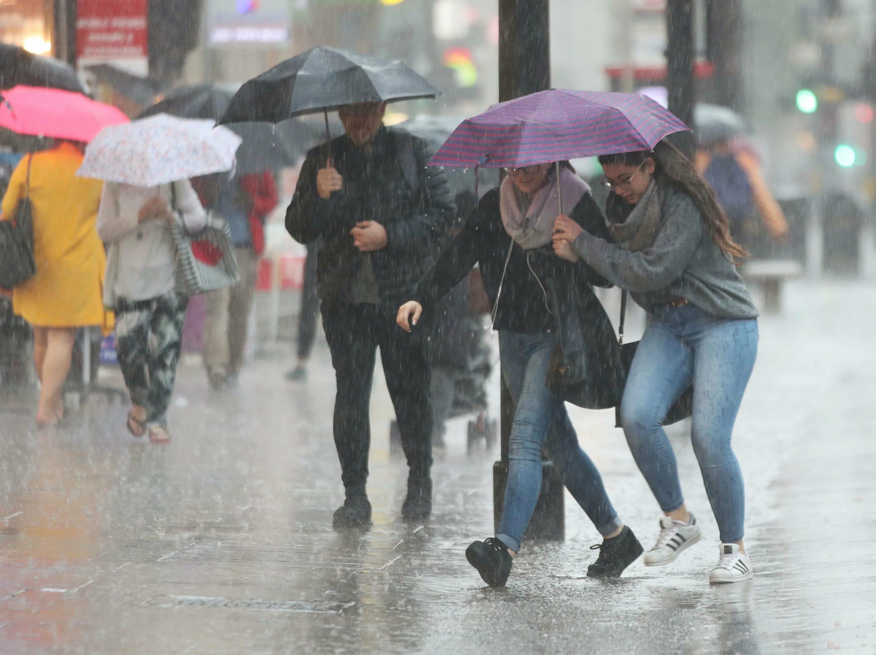 Торрентиал Рэйн. Torrential Rain группа. Torrential Rain weather. Rain Windy weather. Raining windy