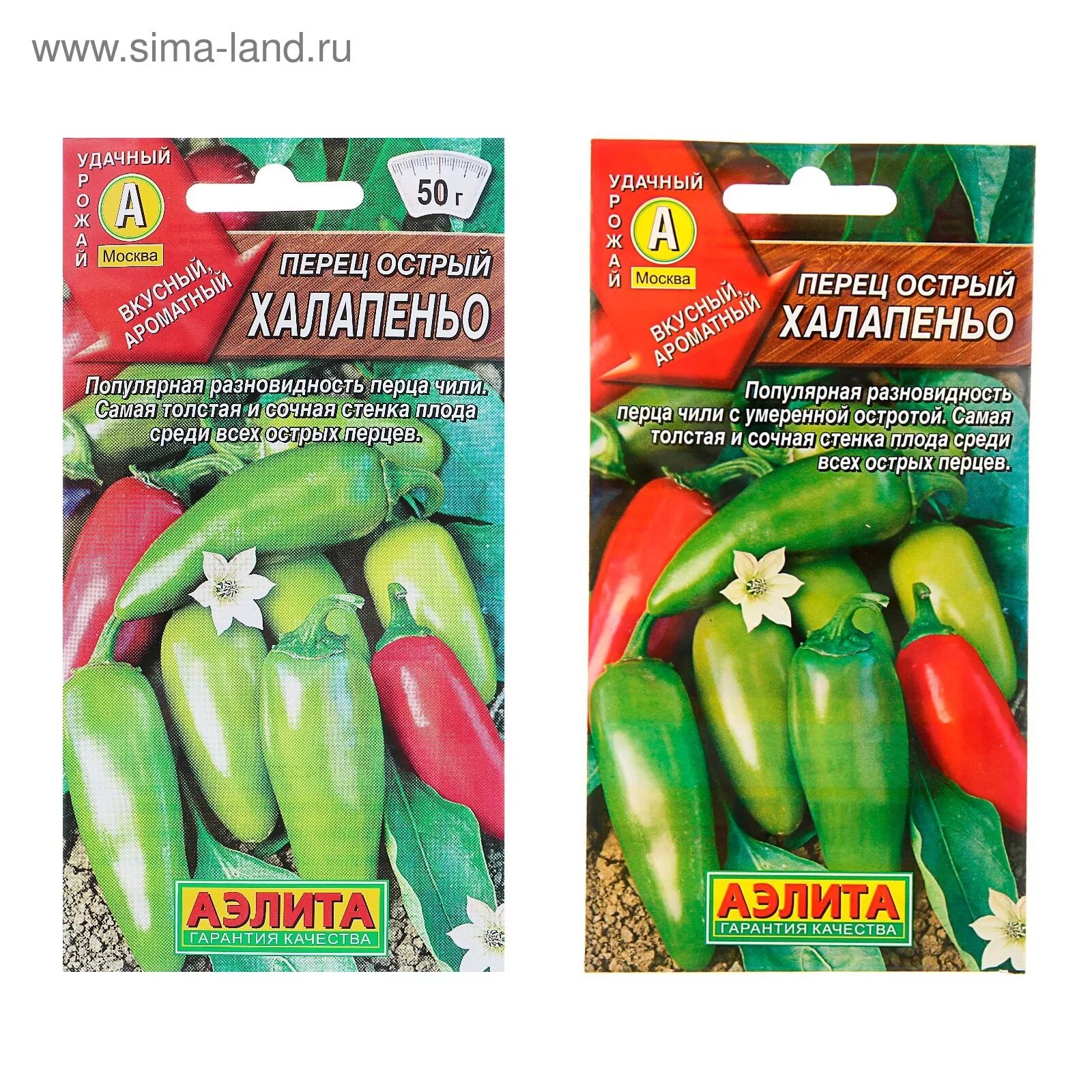 Халапеньо куст. Острый перец jalapeno. Перец острый задира. Перчик халапеньо. Горький перец халапеньо.
