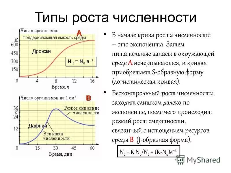 Модель экспоненциального роста популяции. J-образная кривая роста популяций характерна. Типы роста численности популяции. Кривая численности популяции. J-образная кривая роста популяций характерна.