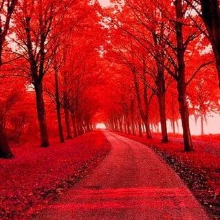 Red path