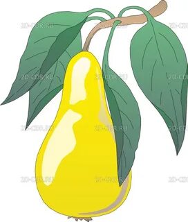 Картинка груши для детей