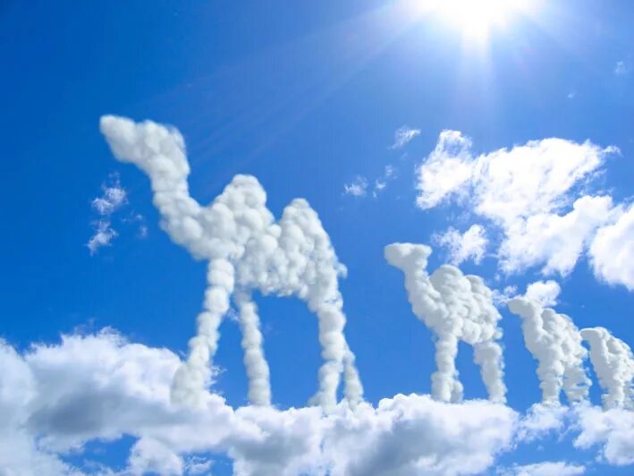 Обитатель облаков. Фигуры из облаков. Фигуры из облаков на небе. Облака в форме животных. На что похоже облако.